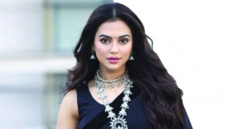 নায়িকা নুসরাত ফারিয়ার জামিন