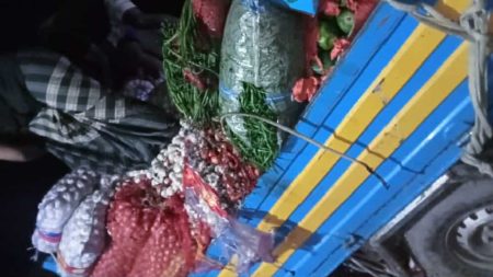 আশুলিয়ায় পার্কিং করা কাঁচামাল ভর্তি পিকআপে আগুন