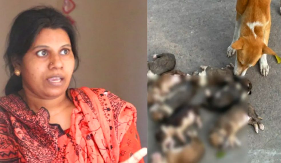 ঈশ্বরদীতে ৮ কুকুরছানা হত্যা: নিশি খাতুন গ্রেপ্তার