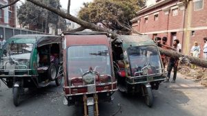 সড়কে ইজিবাইকের ওপর ভেঙে পড়ল মেহগনি গাছ