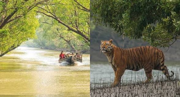 সুন্দরবনে ঈদ উপলক্ষে সর্বোচ্চ সতর্কতা, বনরক্ষীদের ছুটি বাতিল
