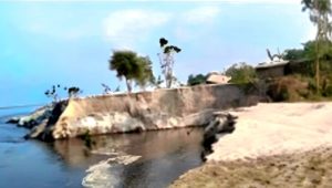 ব্রহ্মপুত্রের তাণ্ডব: বসতভিটা নদীতে বিলীন, পরিবার নিঃস্ব