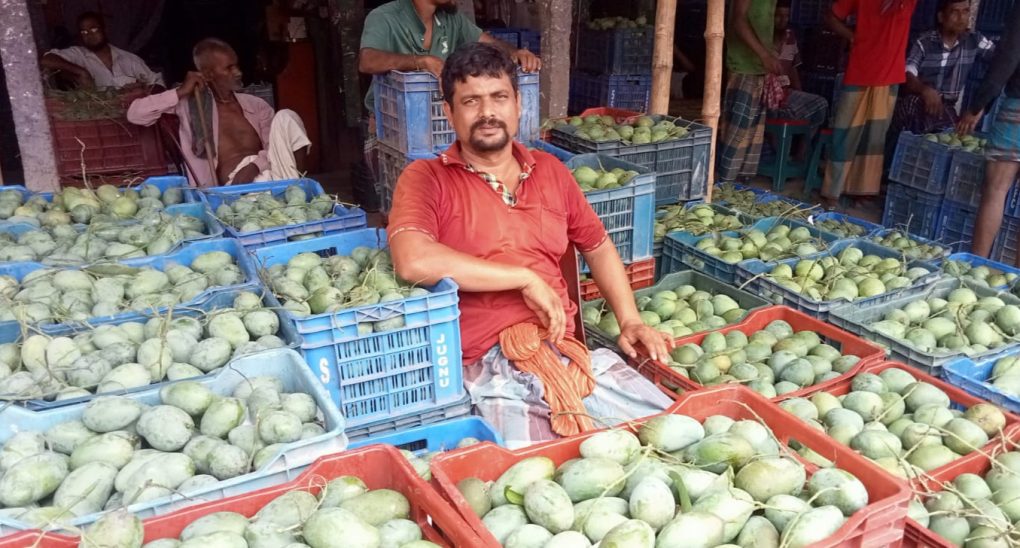 বেলতলায় আমের দামে ধস, লোকসানের মুখে আম চাষীরা