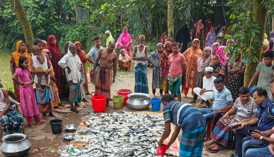 ধনবাড়ীতে রাইস মিলে আগুন, পুকুরে বিষ প্রয়োগের অভিযোগ