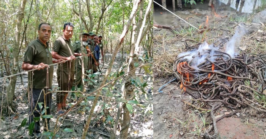 সুন্দরবনে সক্রিয় ১৫০ বন্যপ্রাণী শিকারি: গোয়েন্দা নজরদারিতে অপরাধী চক্র