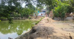 শার্শায় পুকুরগর্ভে একমাত্র সড়ক, দুর্ভোগে ১৫শ মানুষ