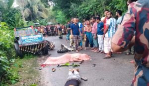 শার্শায় ট্রলি-মোটরসাইকেল মুখোমুখি সংঘর্ষে নিহত ২, আহত ৩