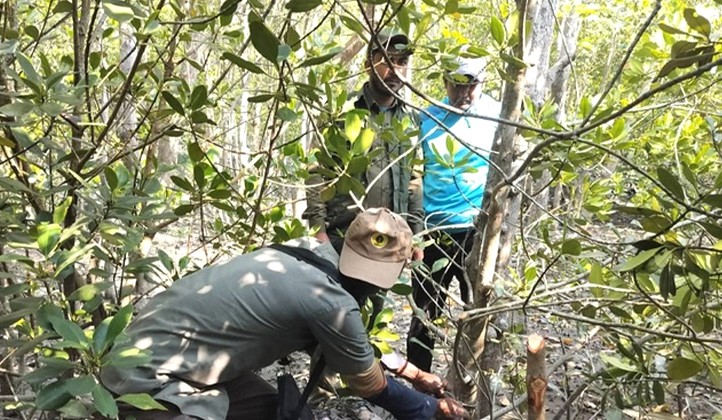 সুন্দরবনে বন্যপ্রাণী রক্ষায় বন বিভাগের নজরদারি