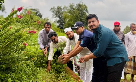 পেকুয়ায় তারুণ্যের জুলাই ফাউন্ডেশনের বৃক্ষরোপণ কর্মসূচি